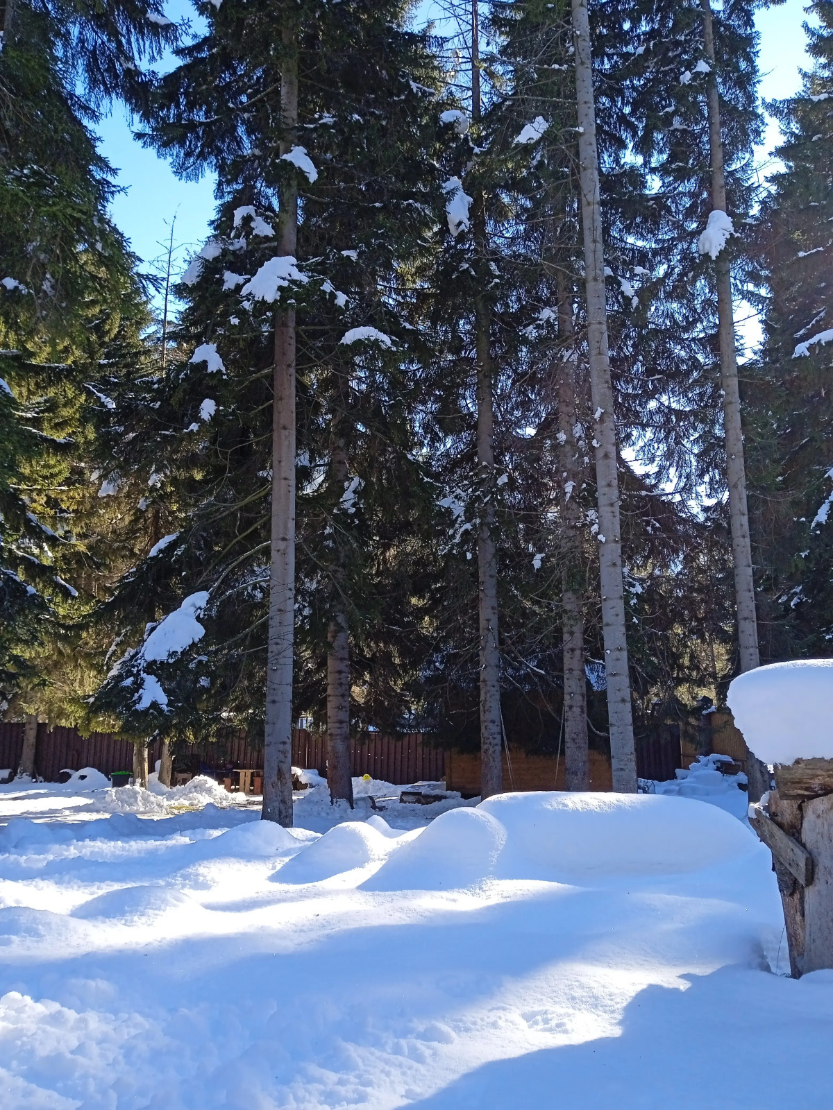 Гостевой Дом Лесная Сказка