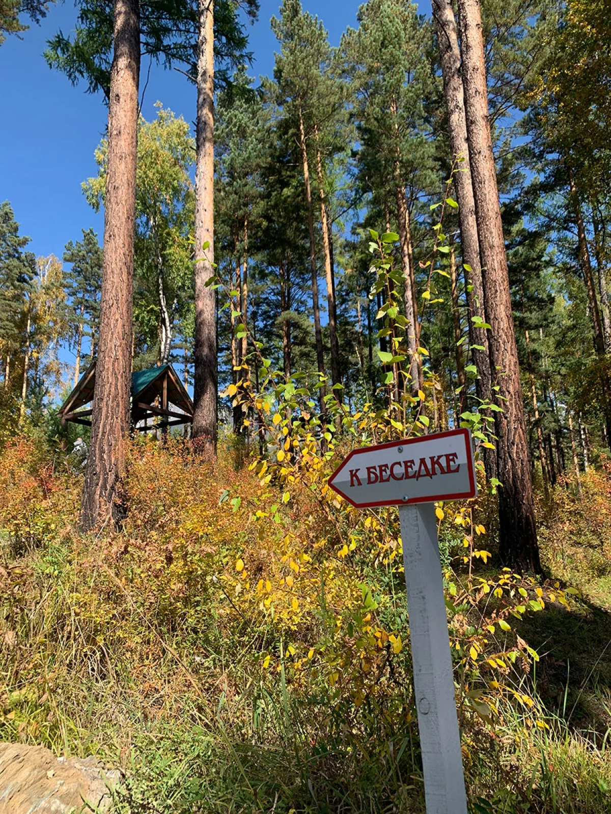 Отель Корона