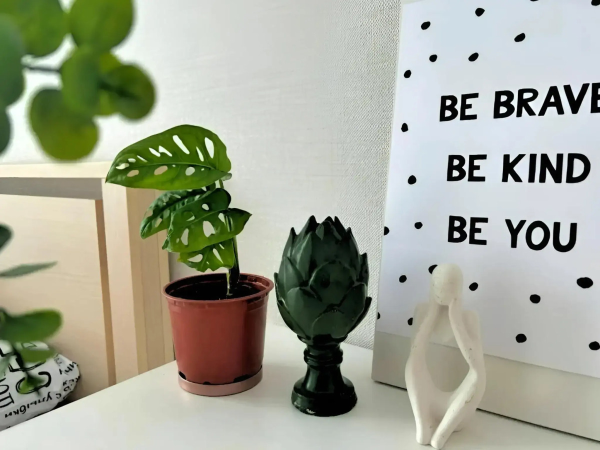 Квартира евродвушка с шикарным видом на море