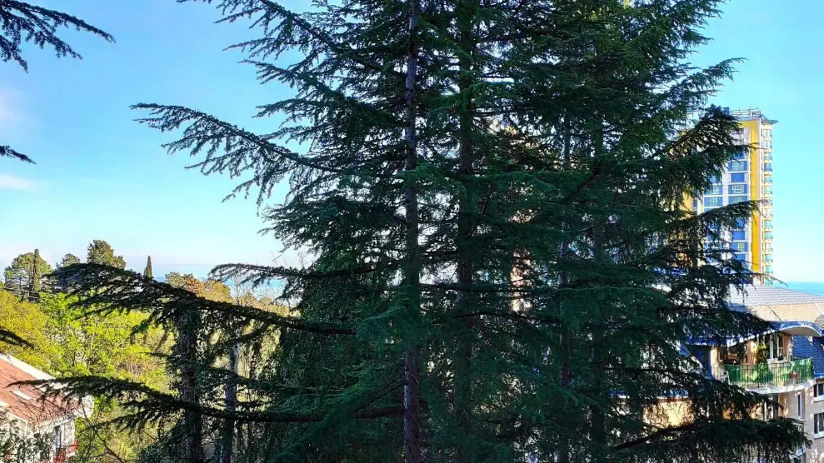 Апартаменты M Apartments Mandarin 7