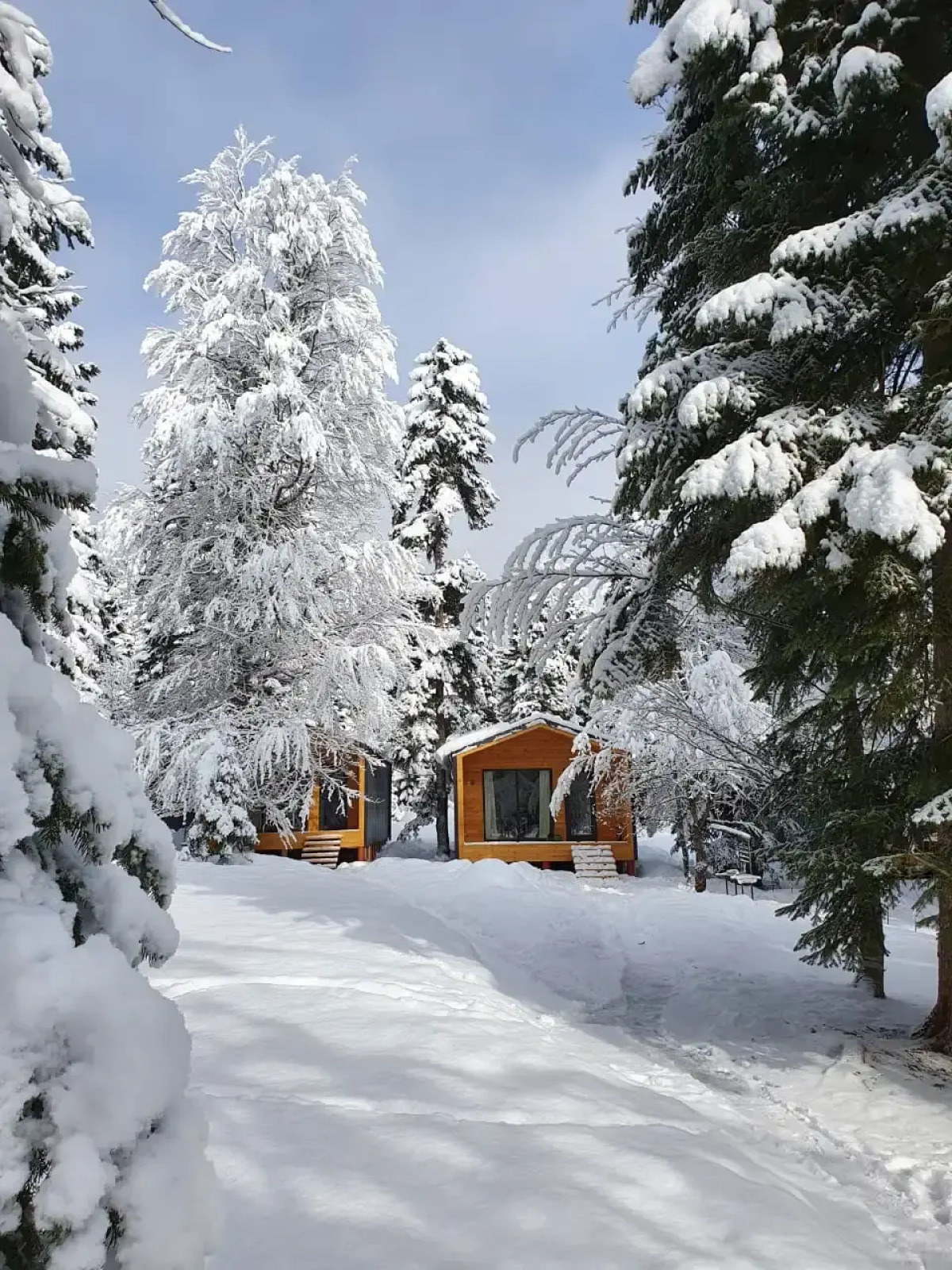 Шале Сияние Family Сlub