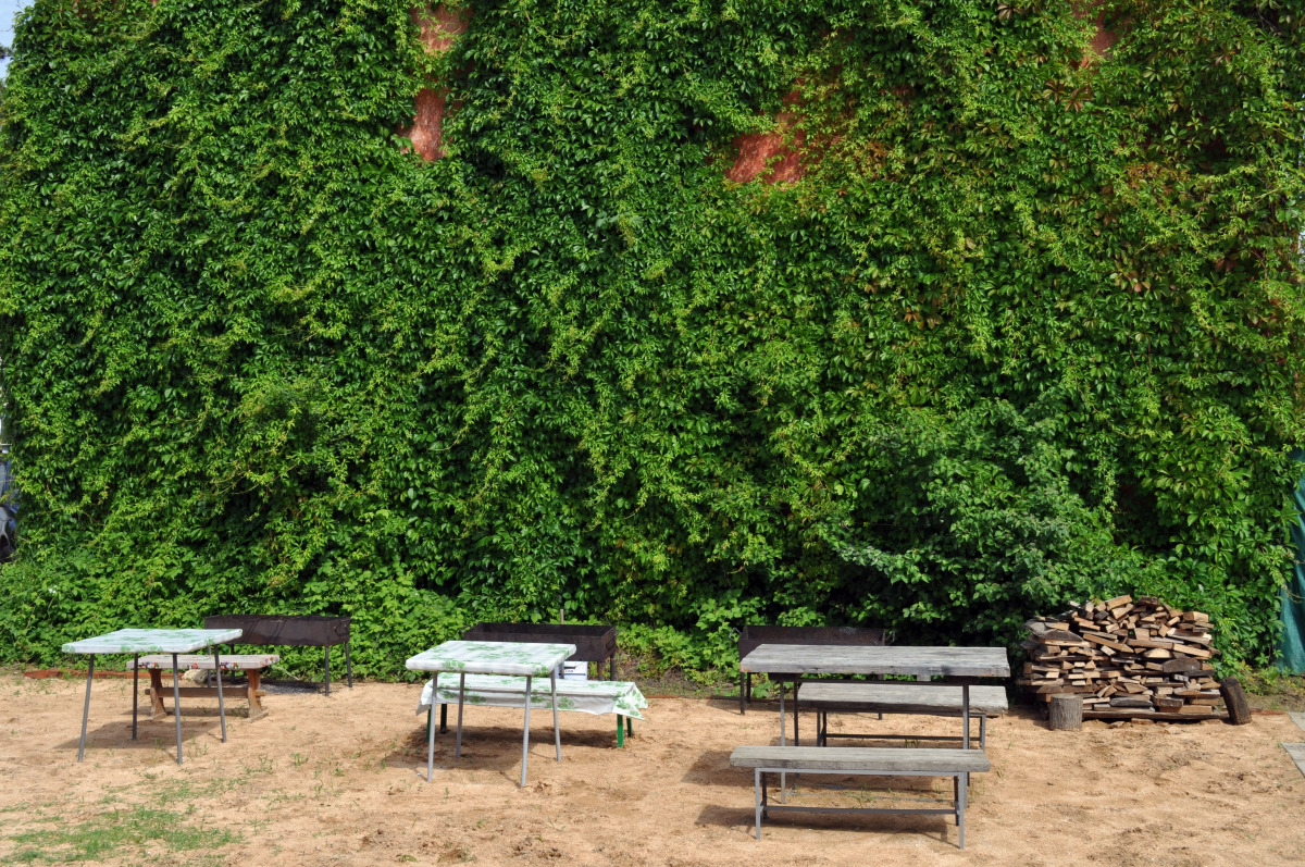 Отель Чайка