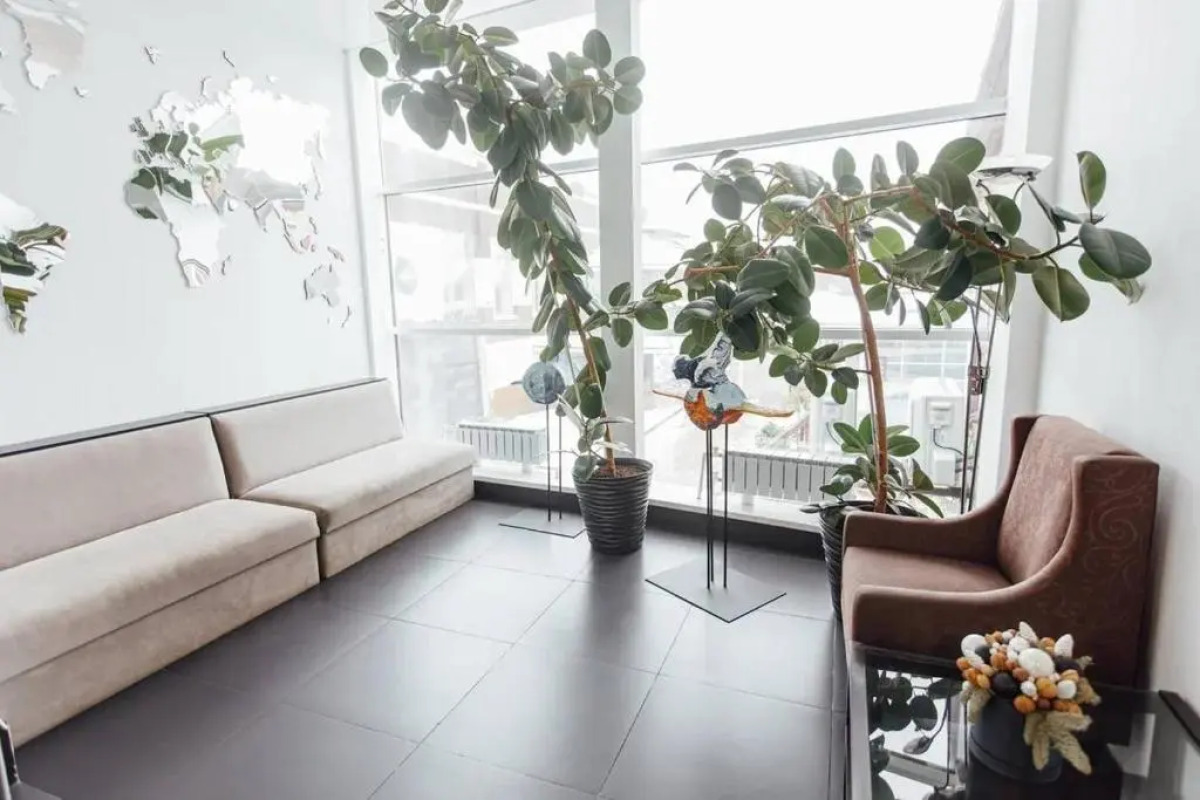 Гостиничный комплекс Dolphin Planet Hotel & SPA