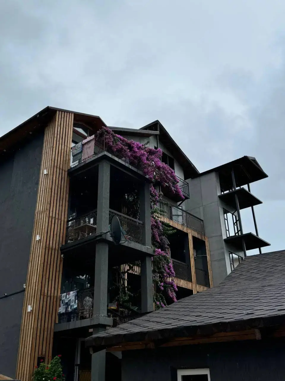 Отель Аимара