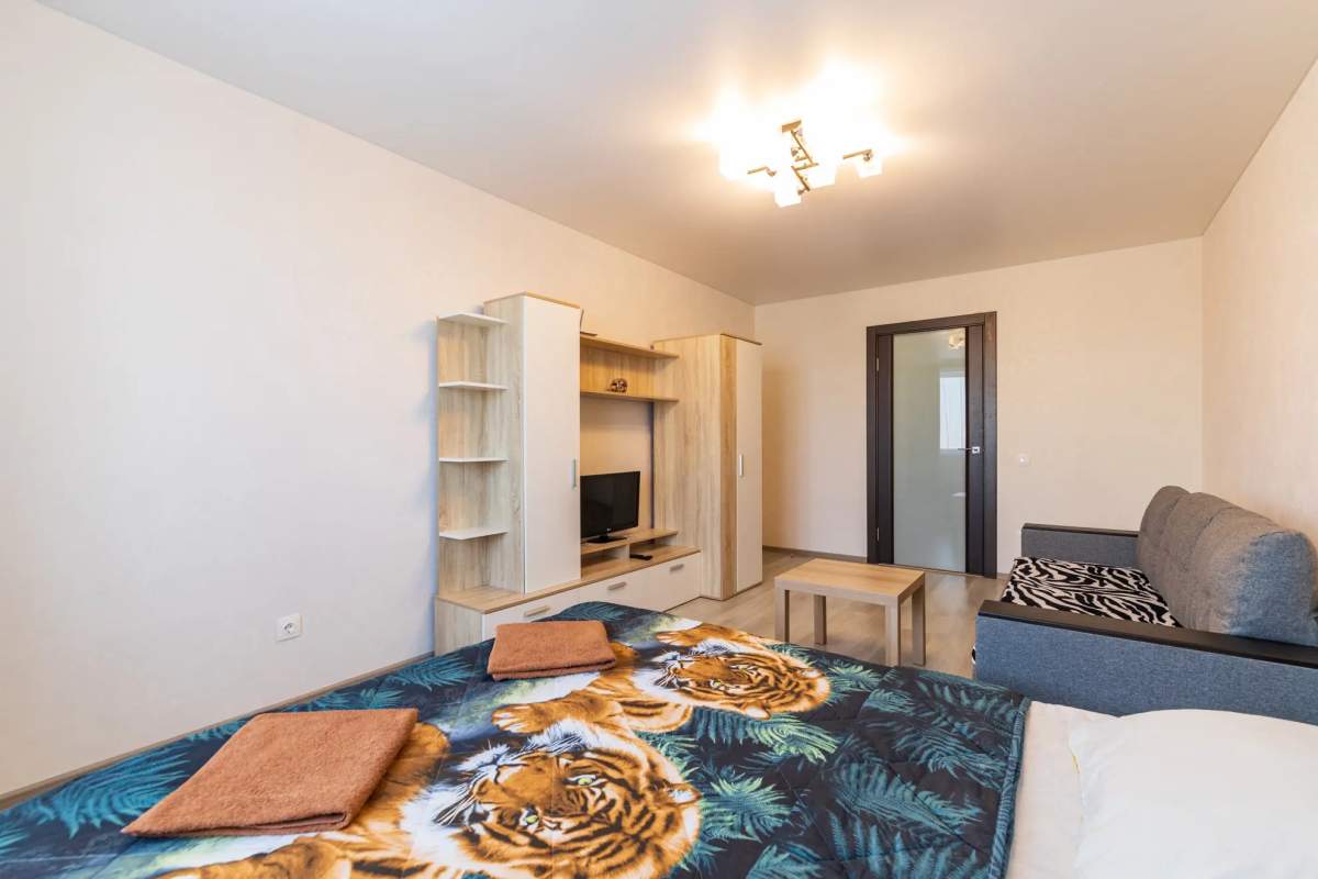 Апартаменты на Револиционной