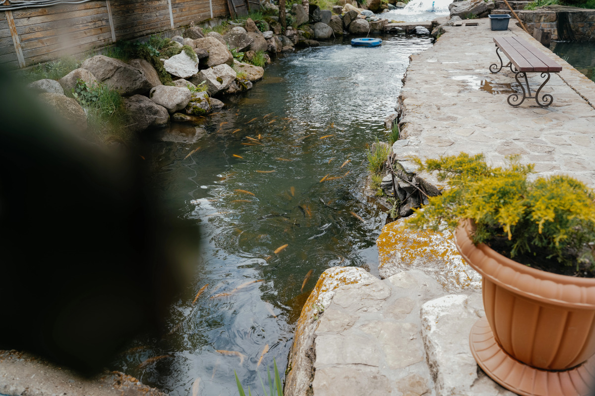 База отдыха Рыбачий стан