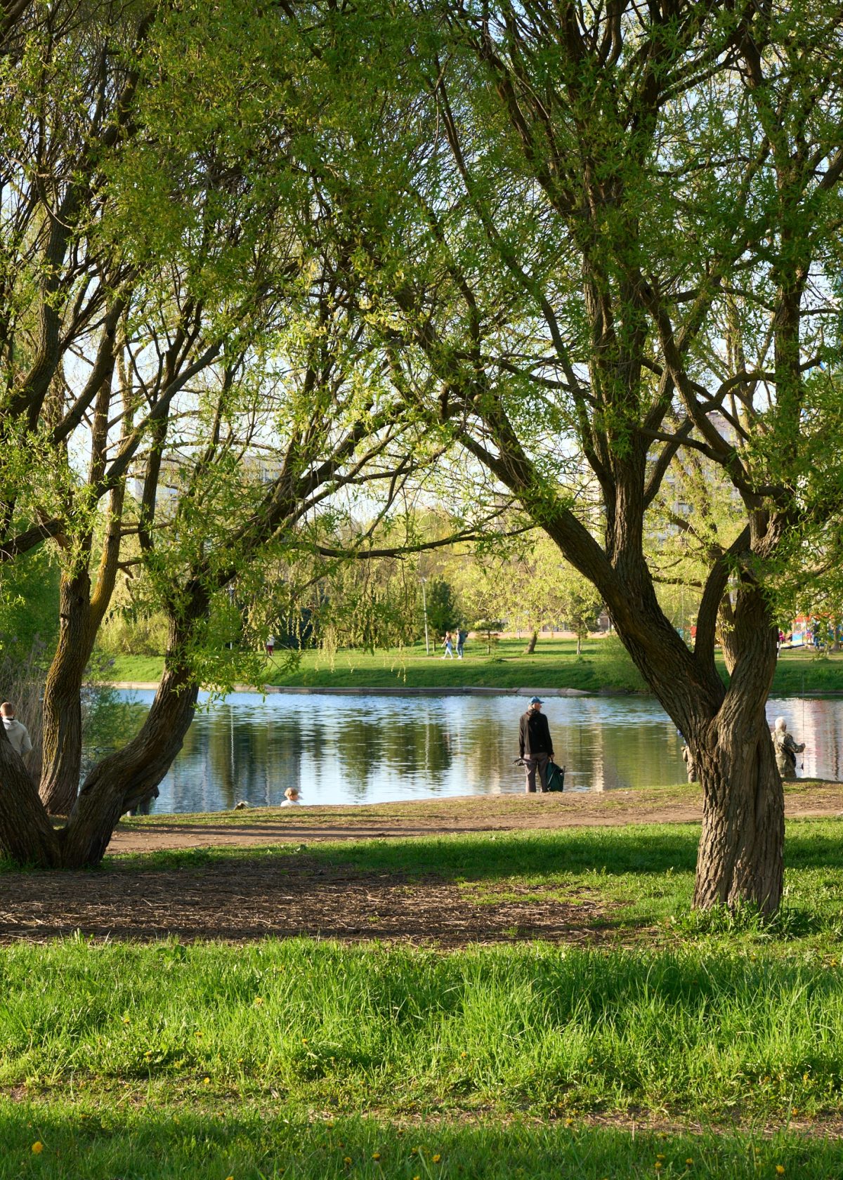 Квартира у Пулковского парка с панорамными окнами