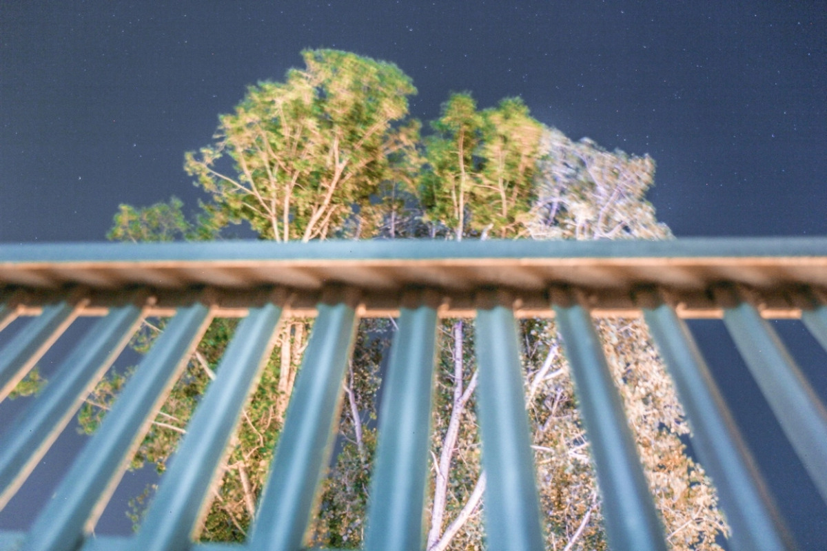 Отель New Palace Shardeni