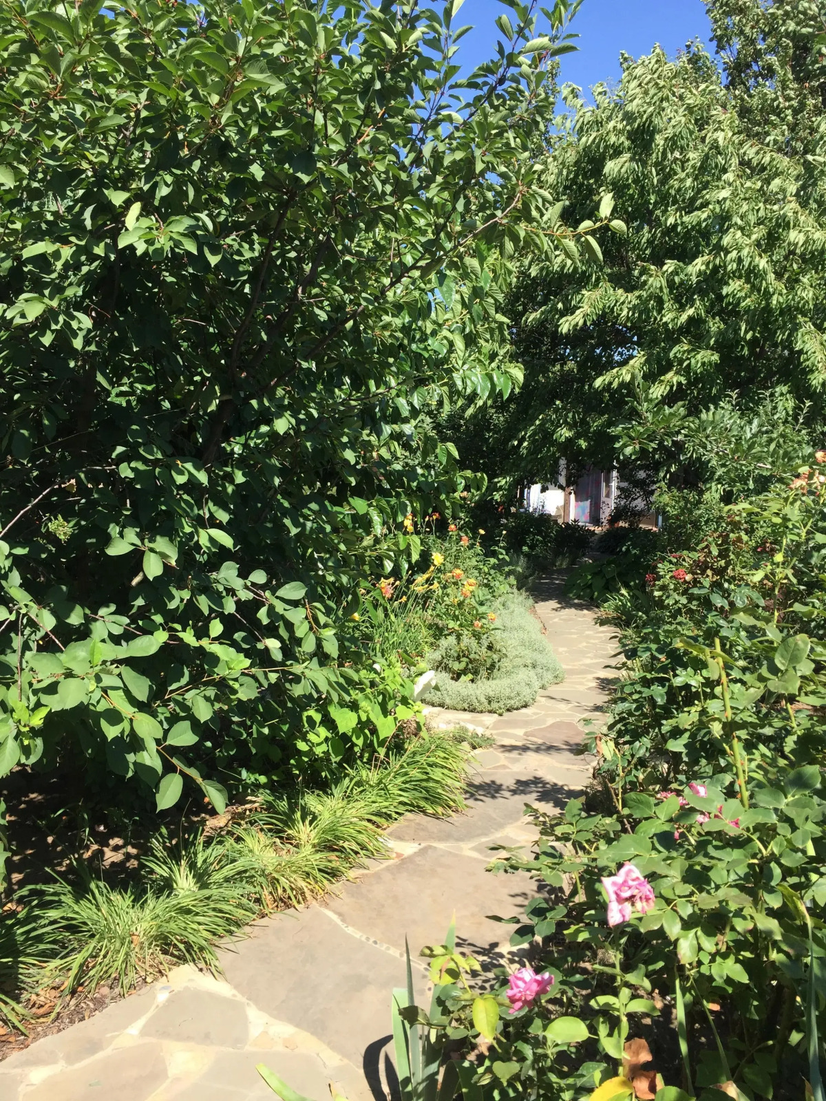 Гостевой дом Дом в саду