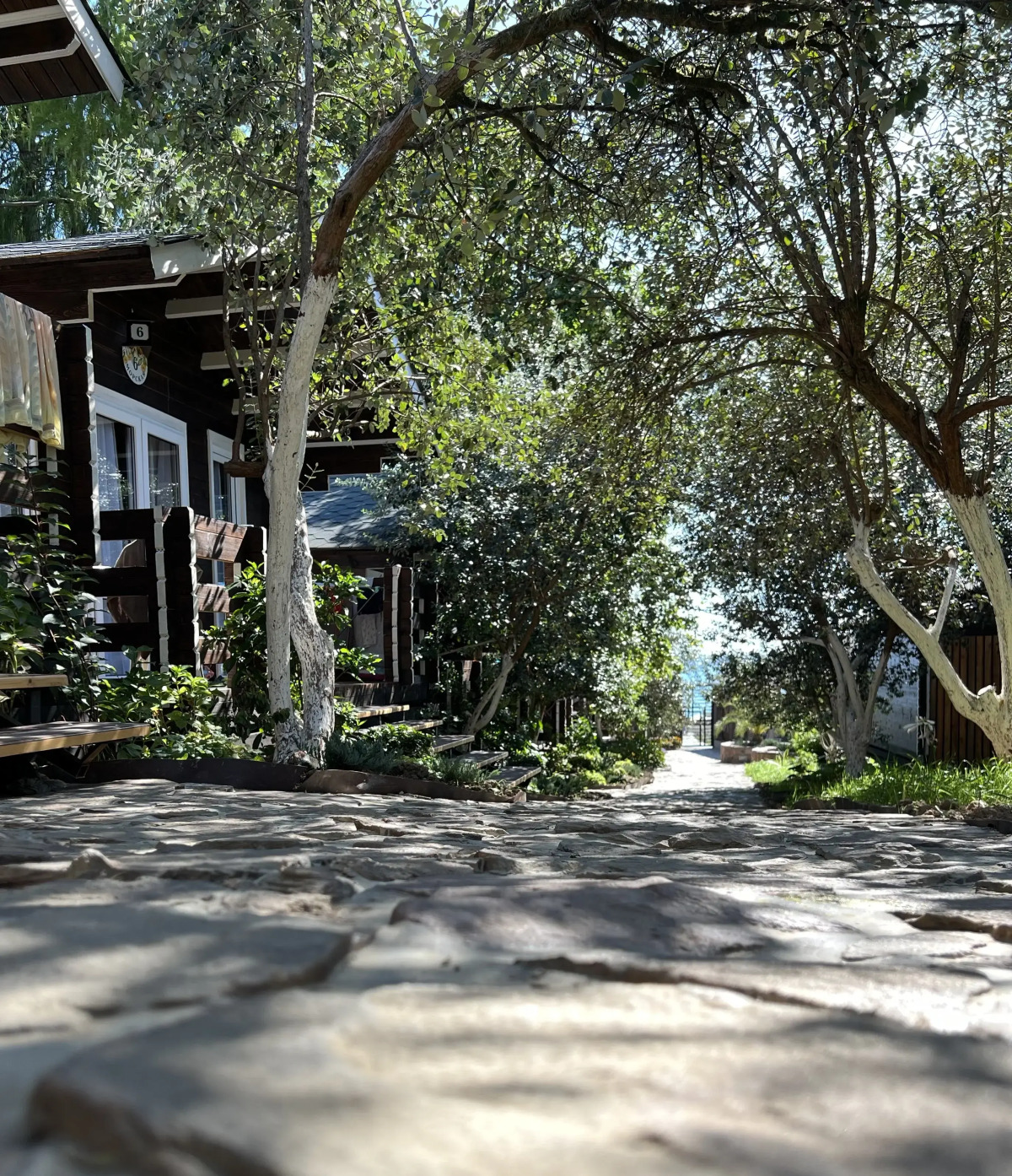 База отдыха Флора