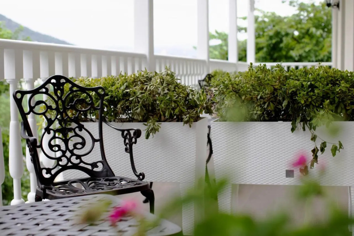 Отель Passport Tbilisi