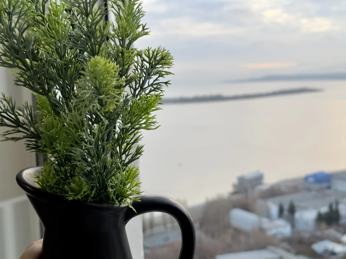 Квартира на Набережной рядом с Городским парком