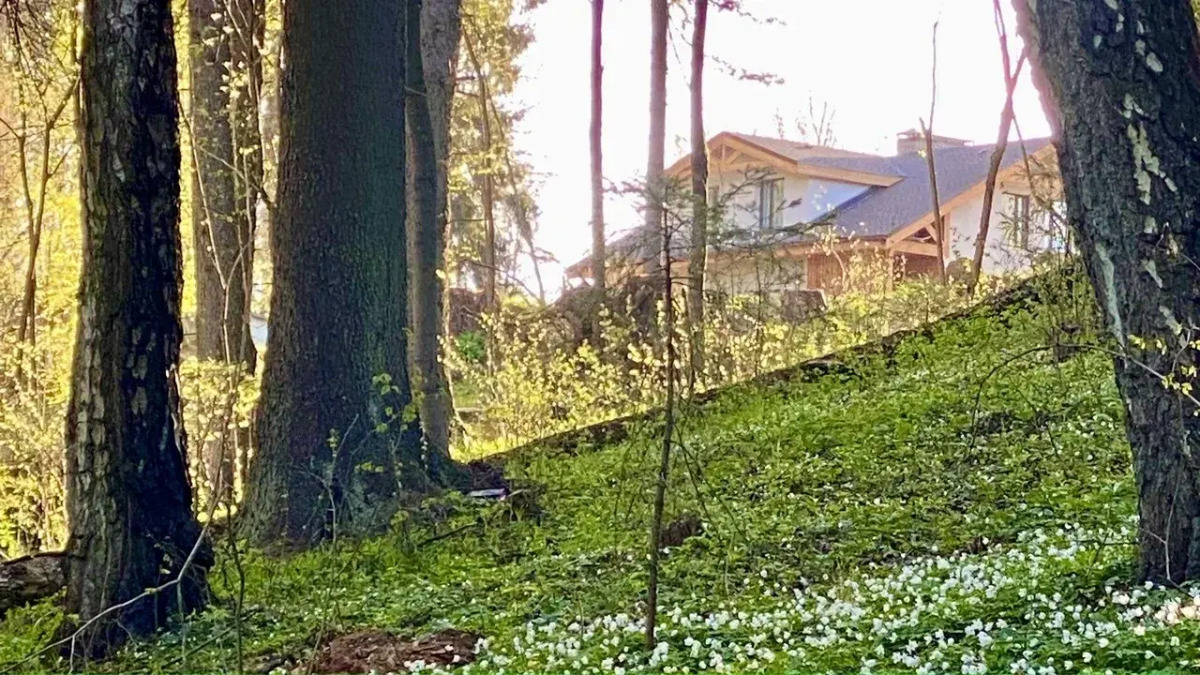 Отель Ruza Forest