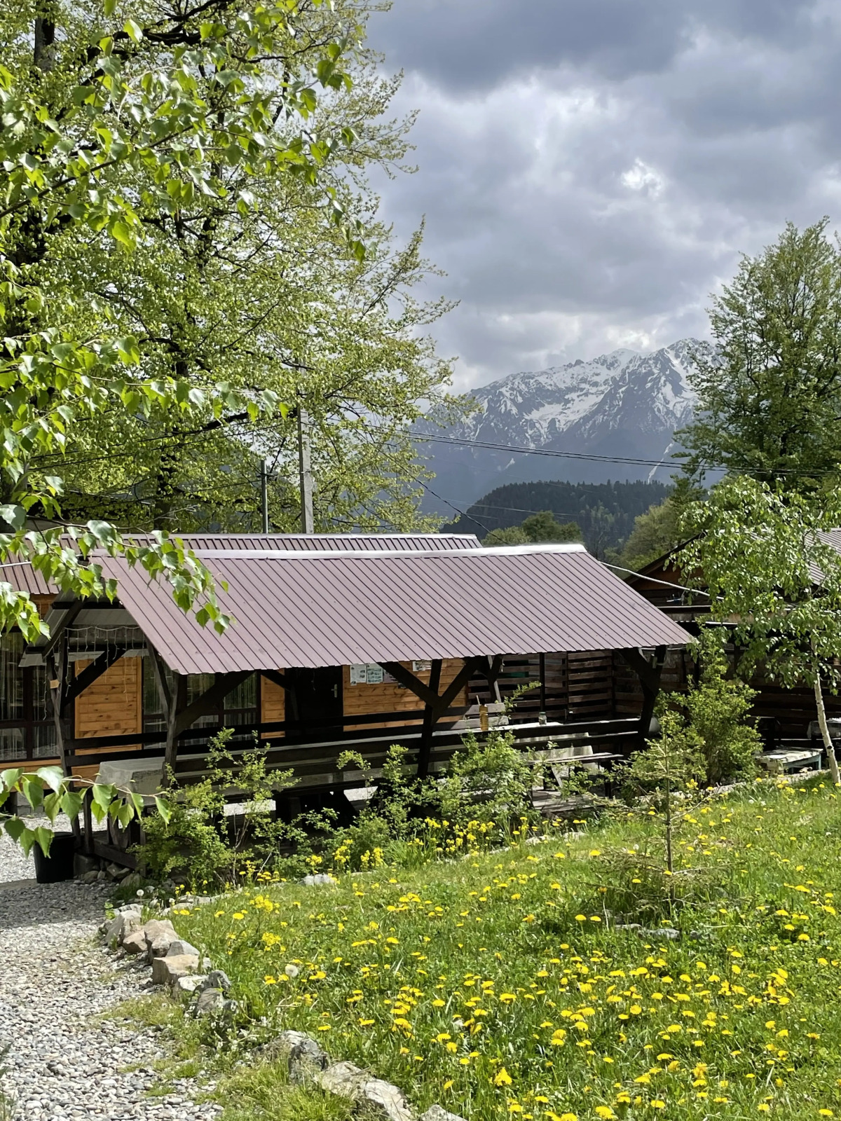 Шале Барбарис