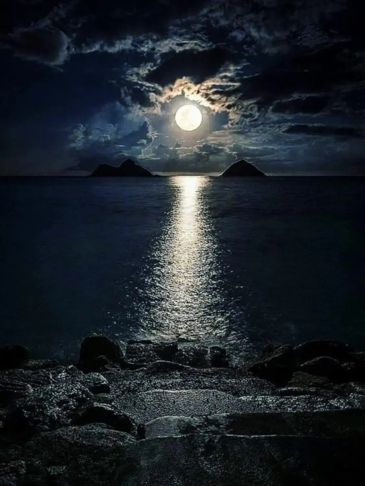 Квартира Море из окна