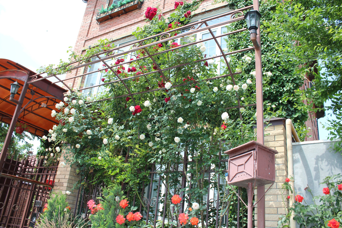 Гостевой дом У Друзей