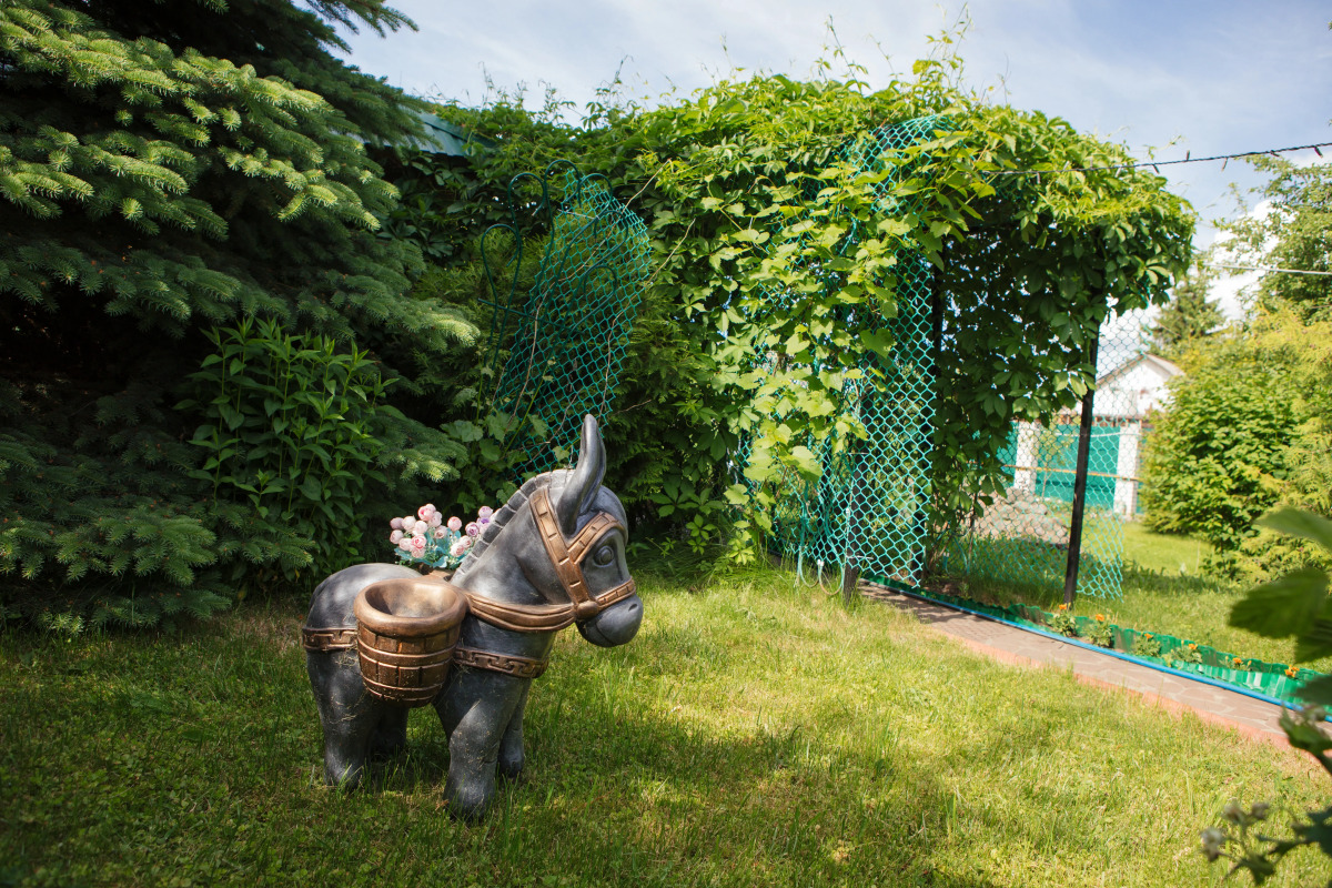 Гостевой дом  "АЛЕКСАНДРиЯ"