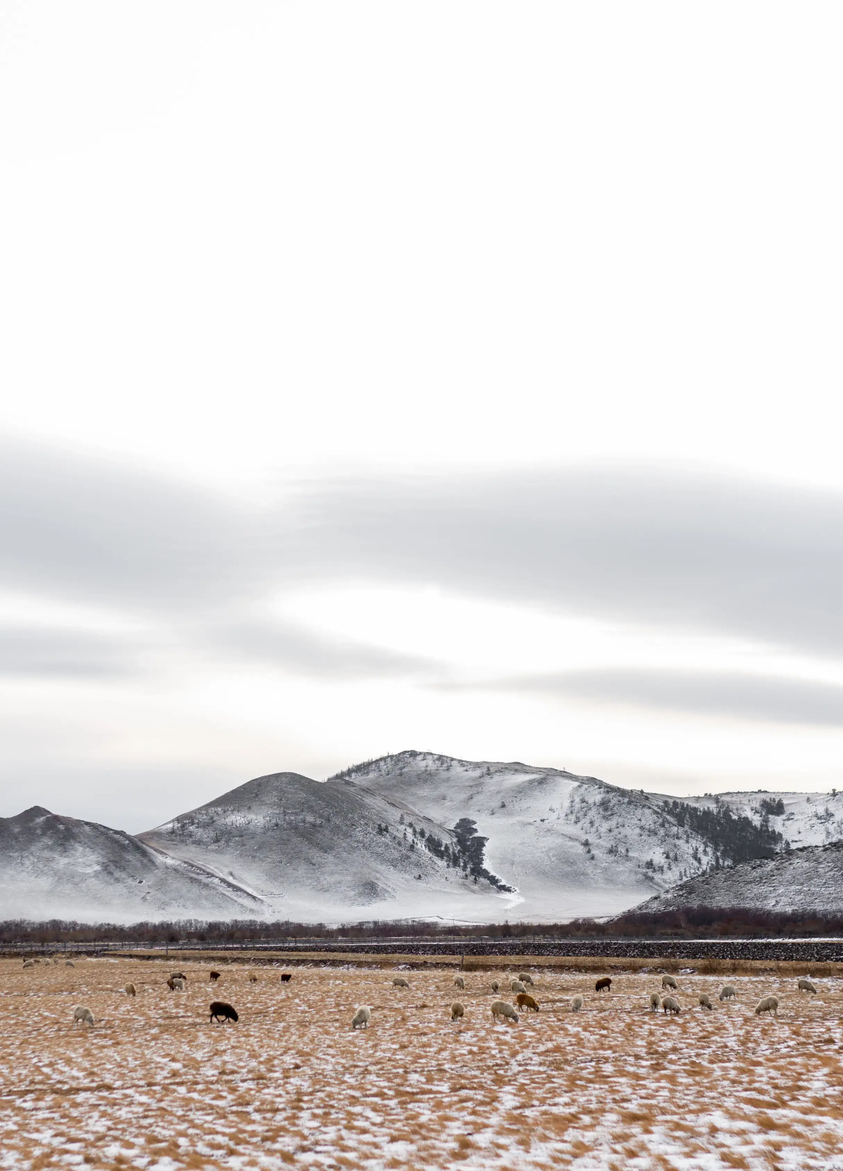 Отель Байкал-Хан Ольхон
