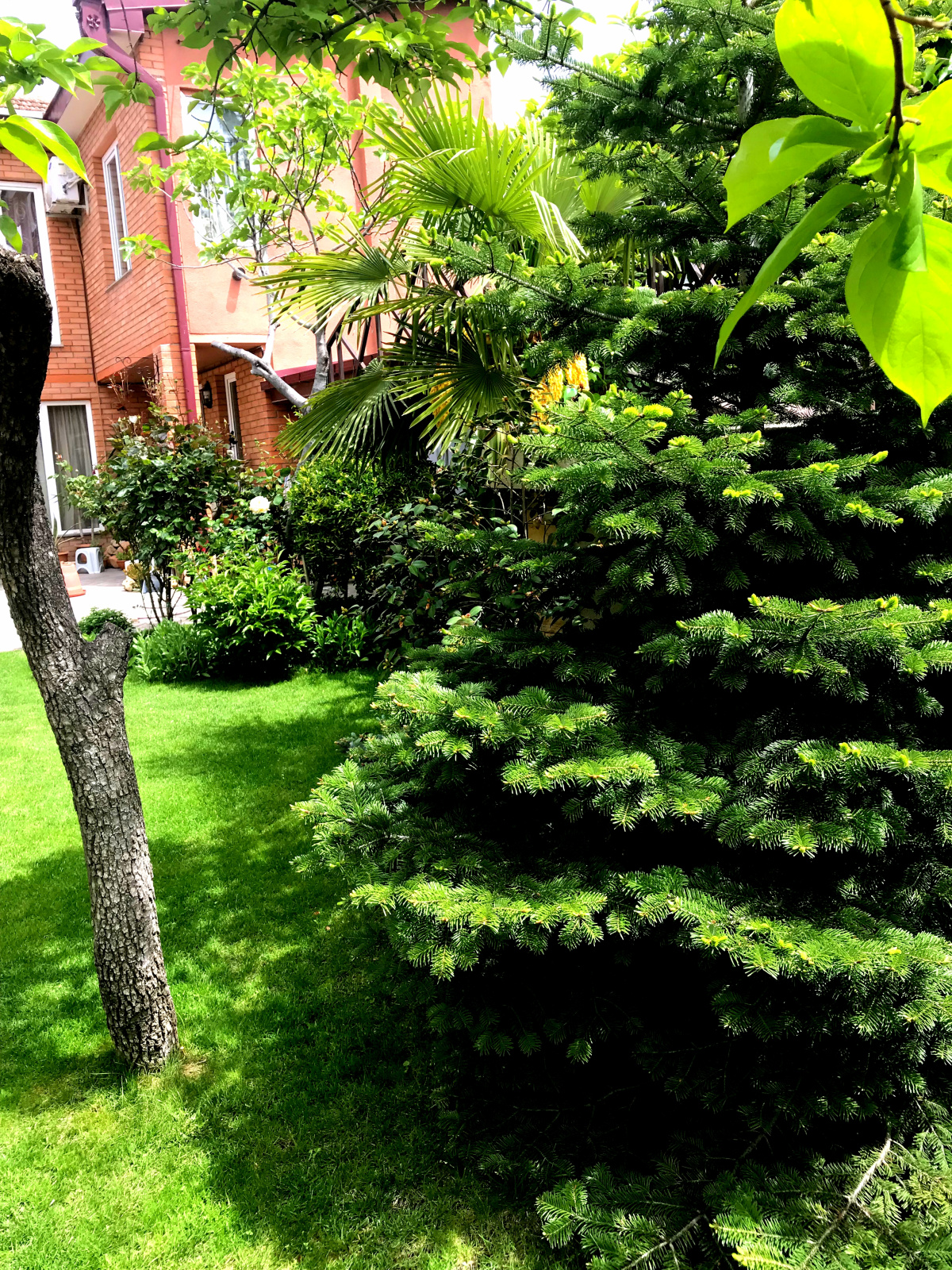 Апартаменты Green Garden