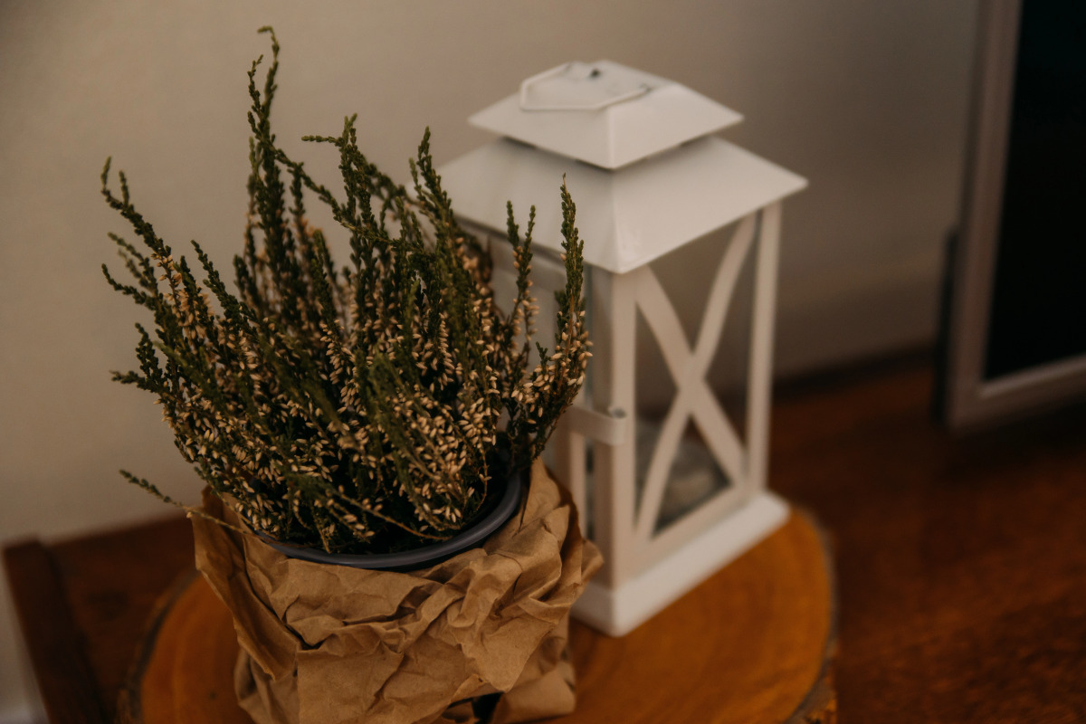 Квартира на 5 углах