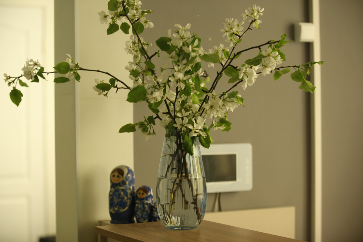 Хостел Три Матрёшки