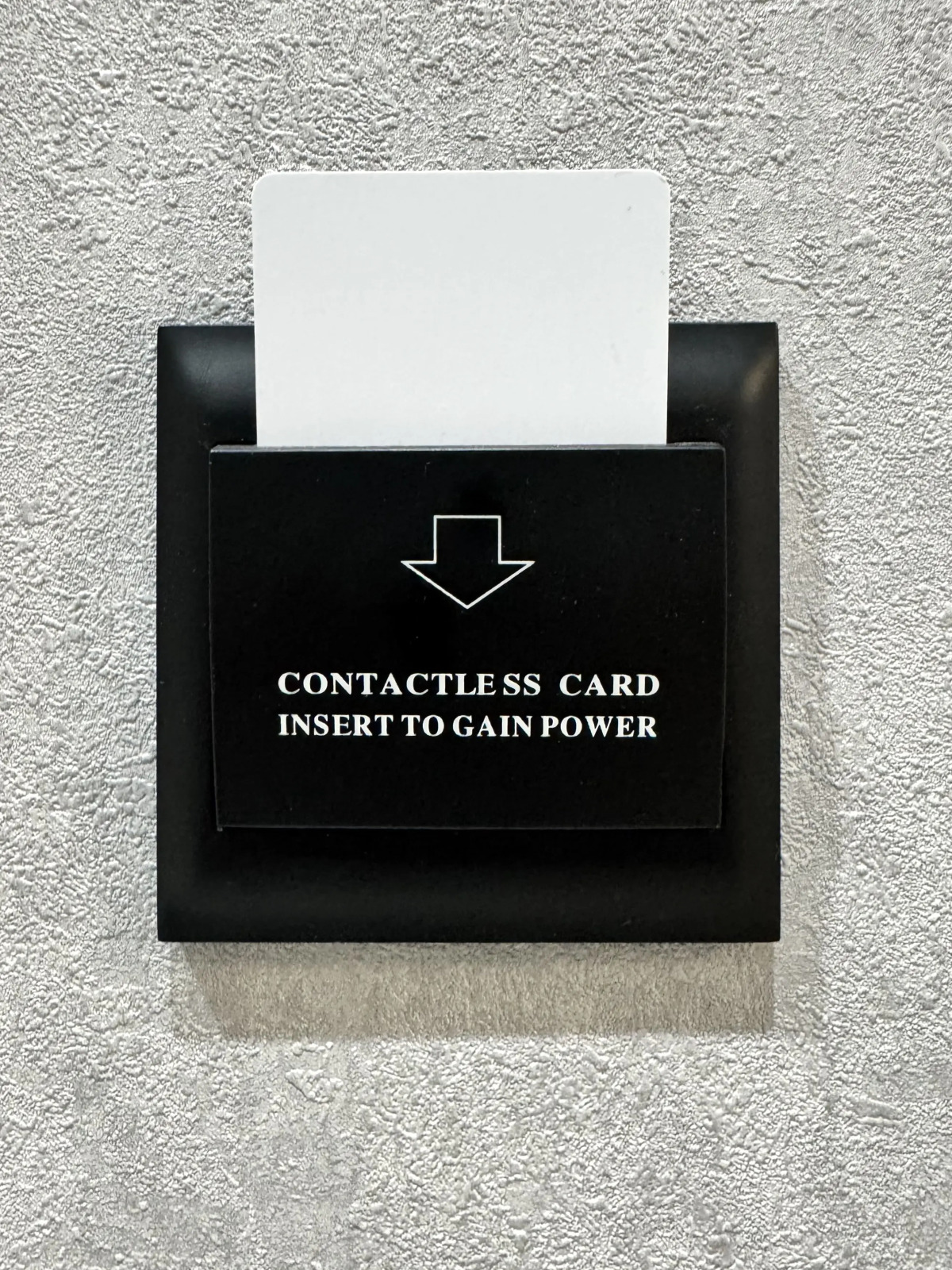 Квартира Просторная в Курортном Парке