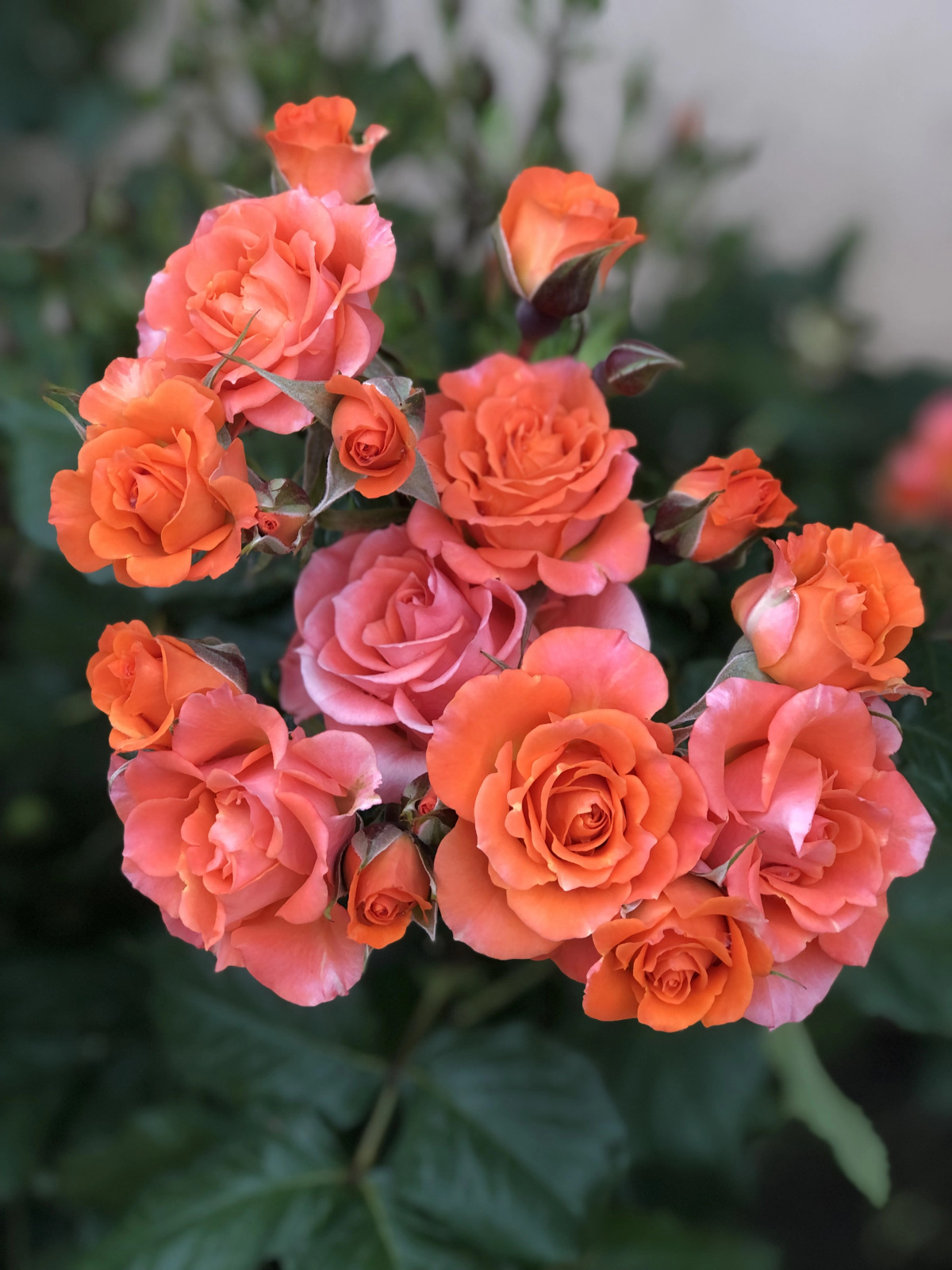 Гостевой дом Лазурный берег