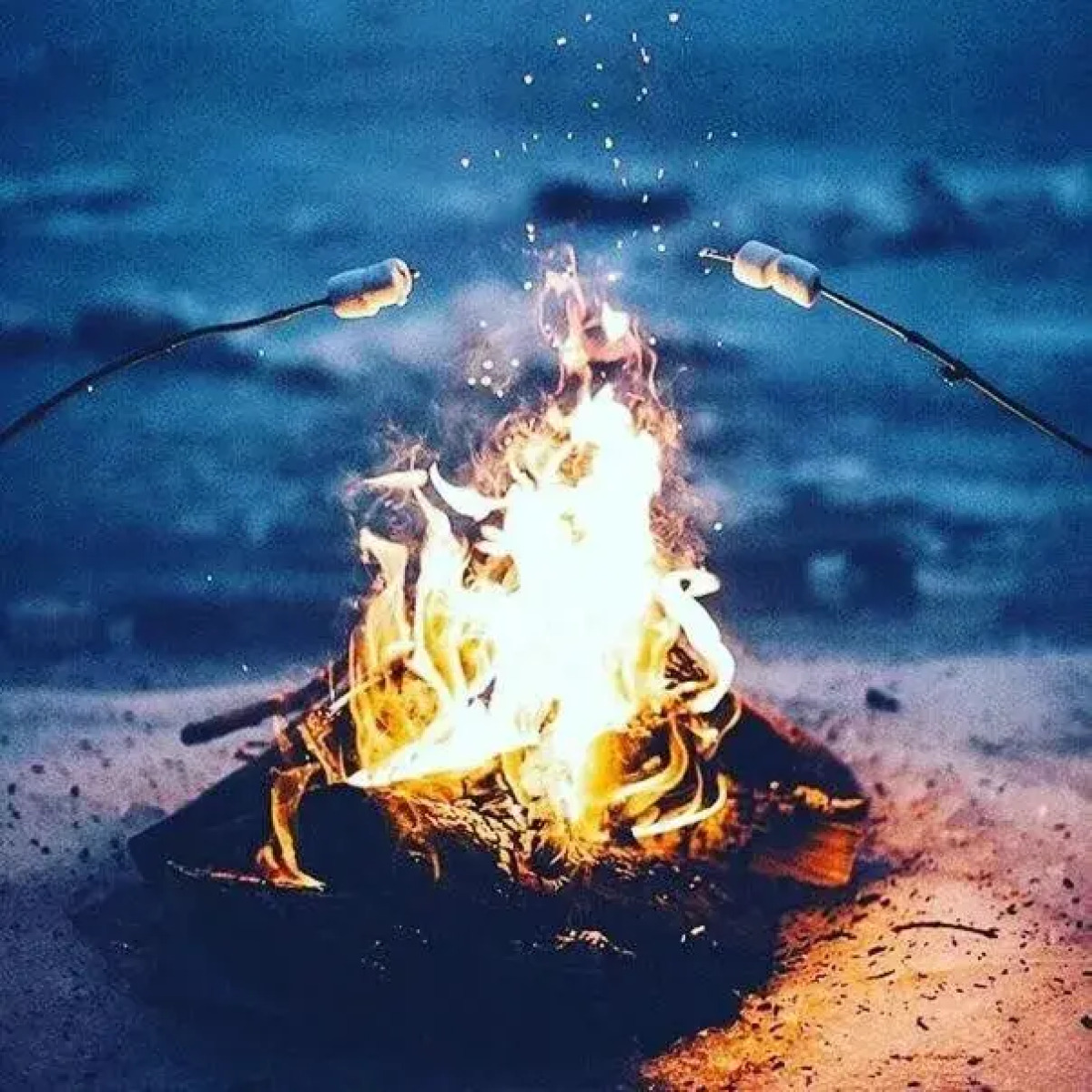 Thach from Travel Hotels Entourage