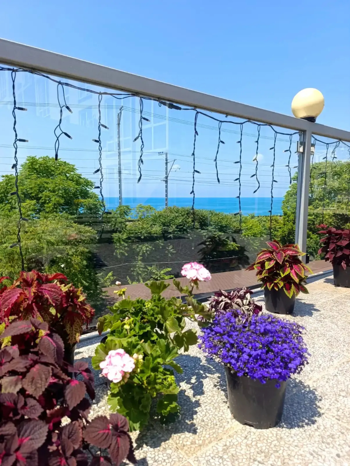 Гостевой дом Villa Soho Sochi Russia