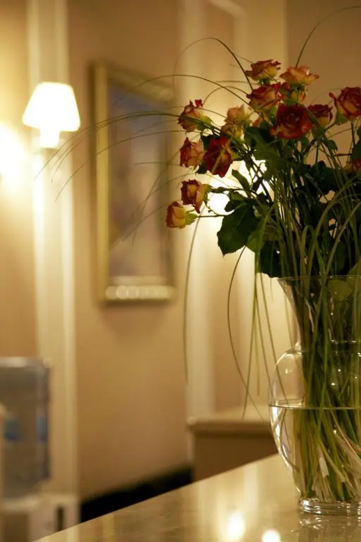 Гостиница Диоскурия