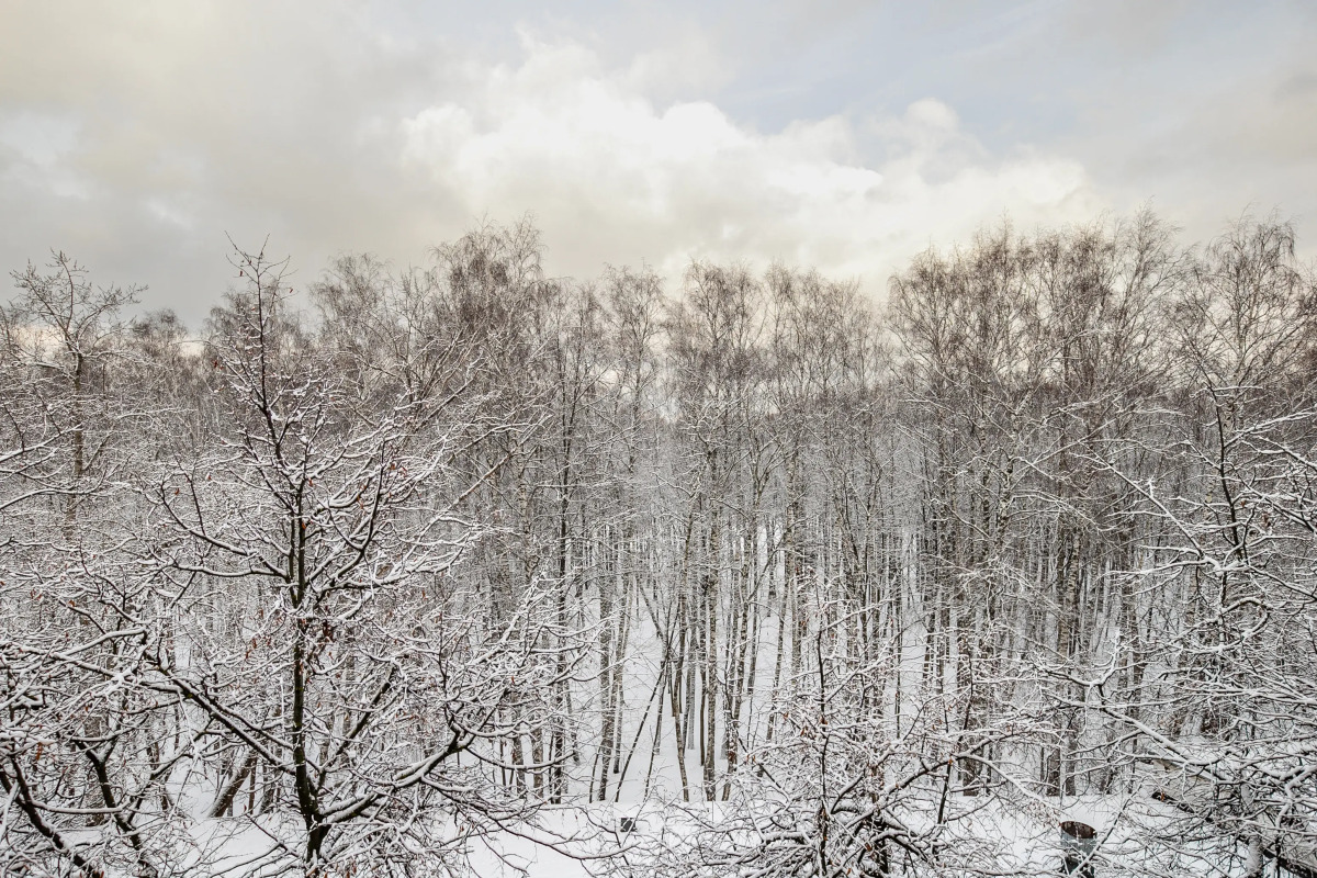 Квартира Студия 25м² 5/6 этаж