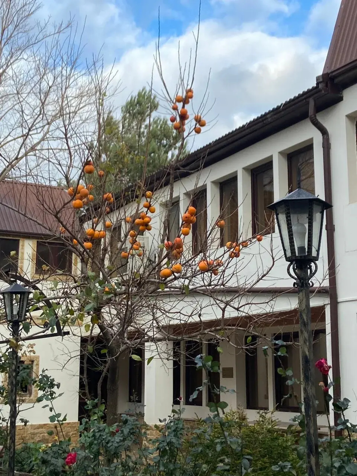 Отель Андалусия