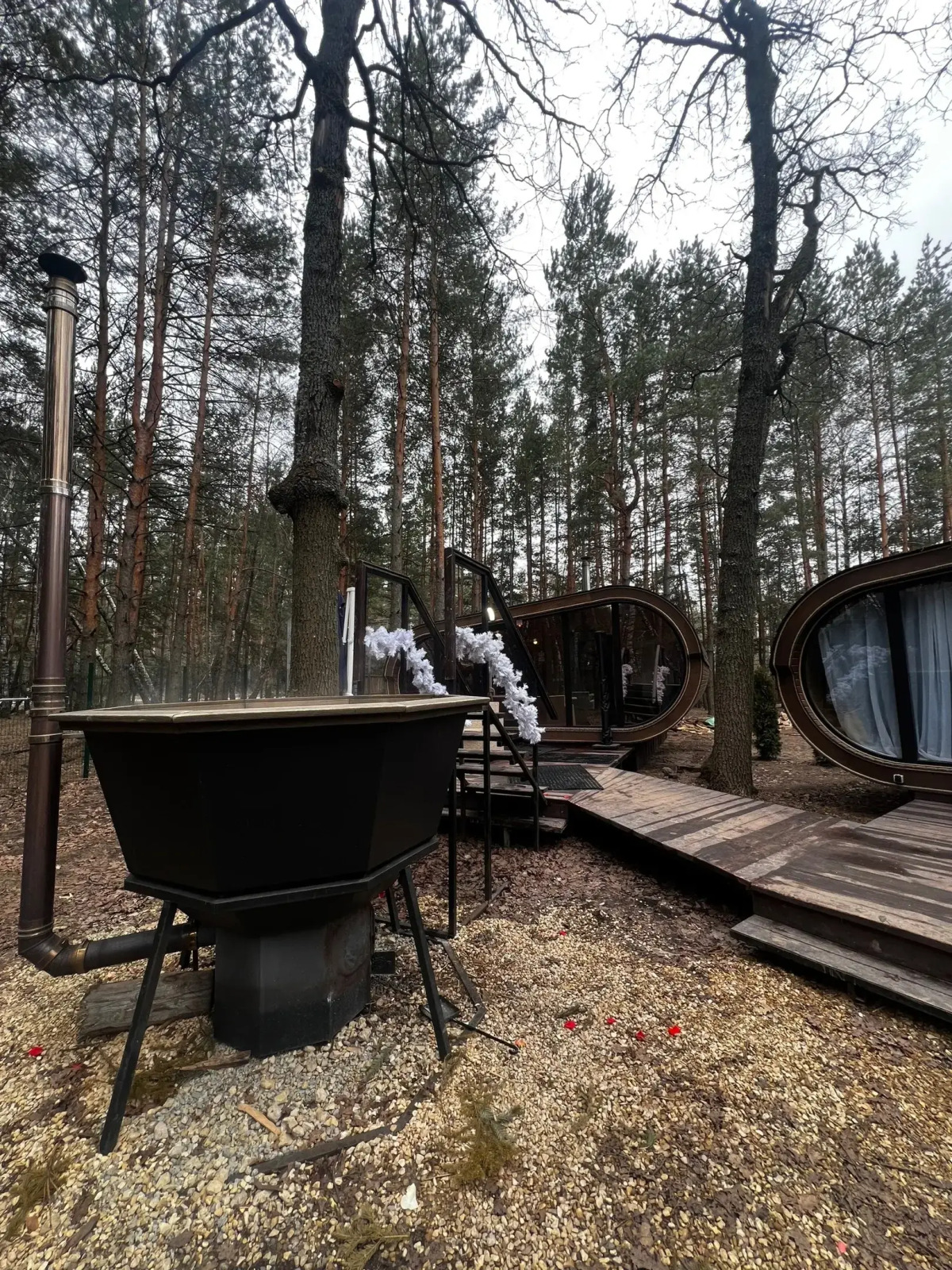 ПриродаРода