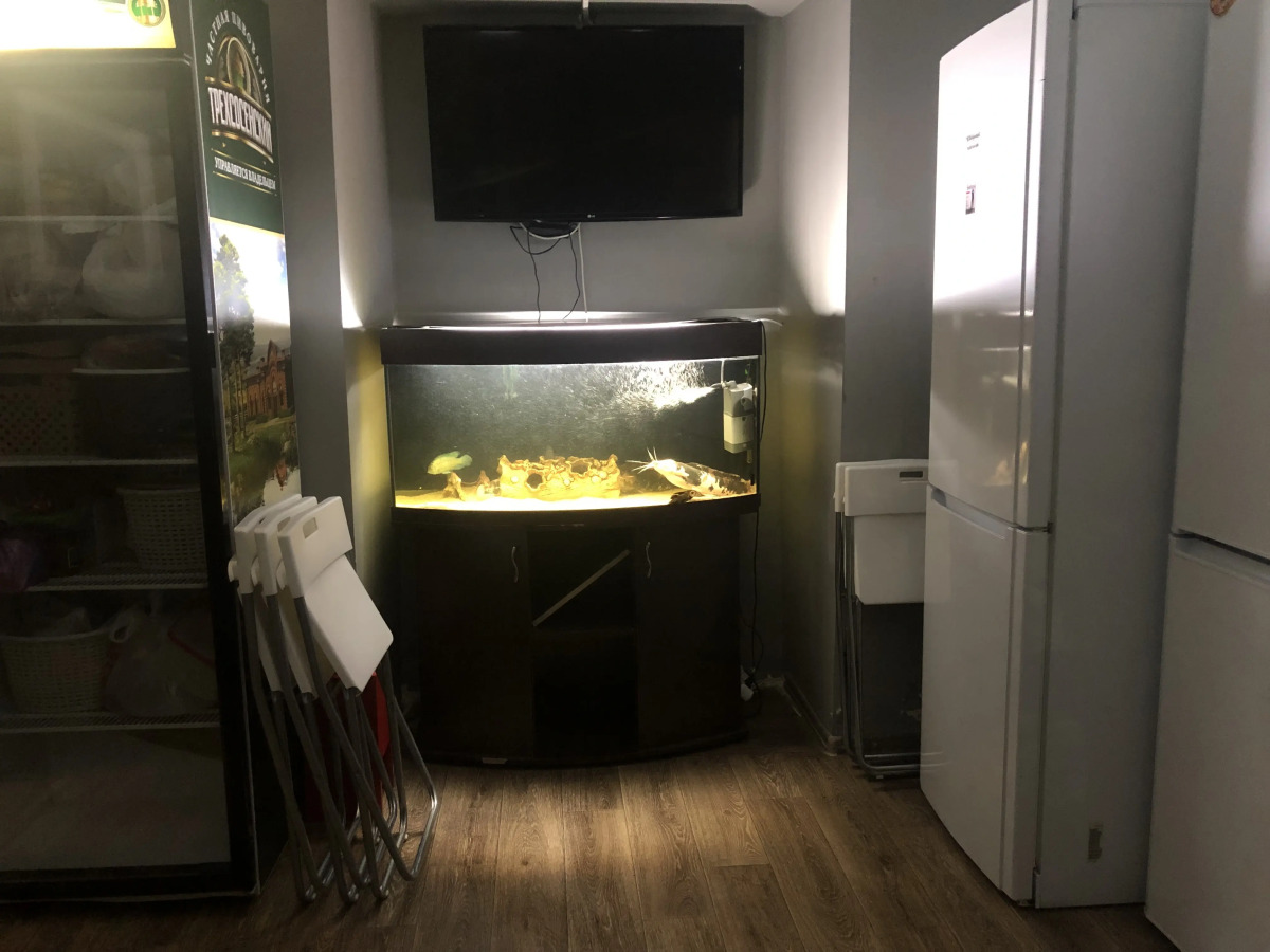 Хостел Олимпия