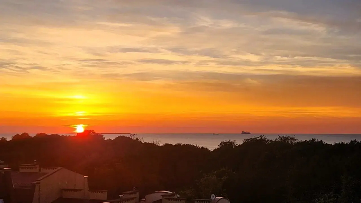 Квартира Два Кота