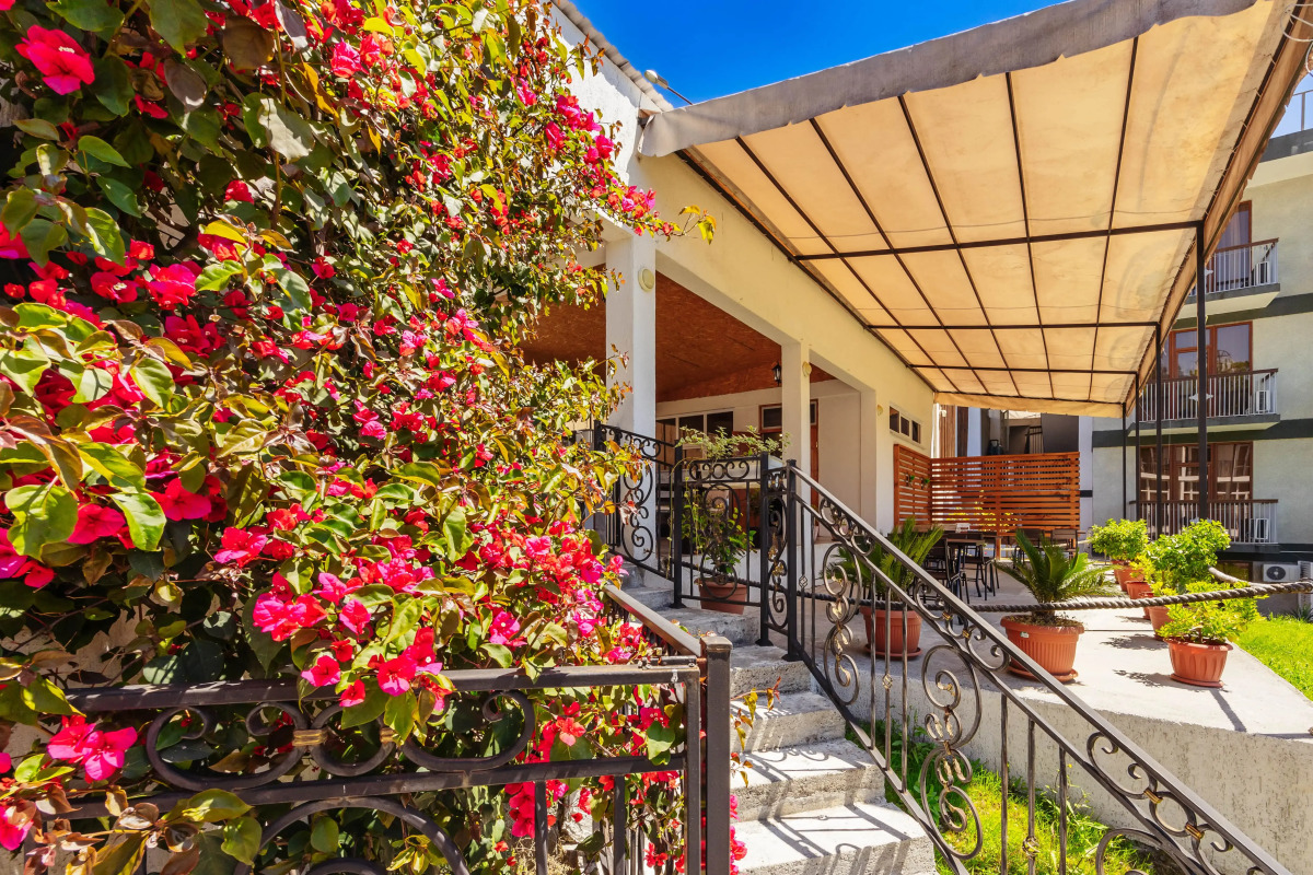 Отель Афалина