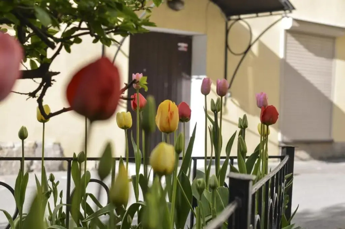 Мини-отель Адель