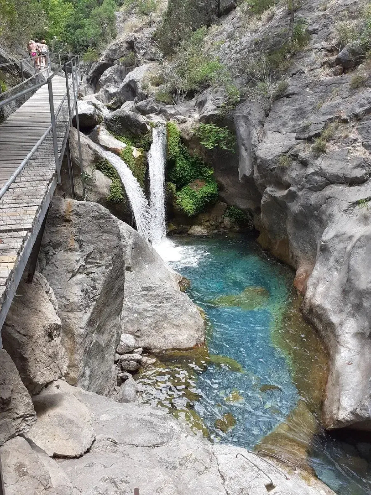 Отель Alanya Risus Park