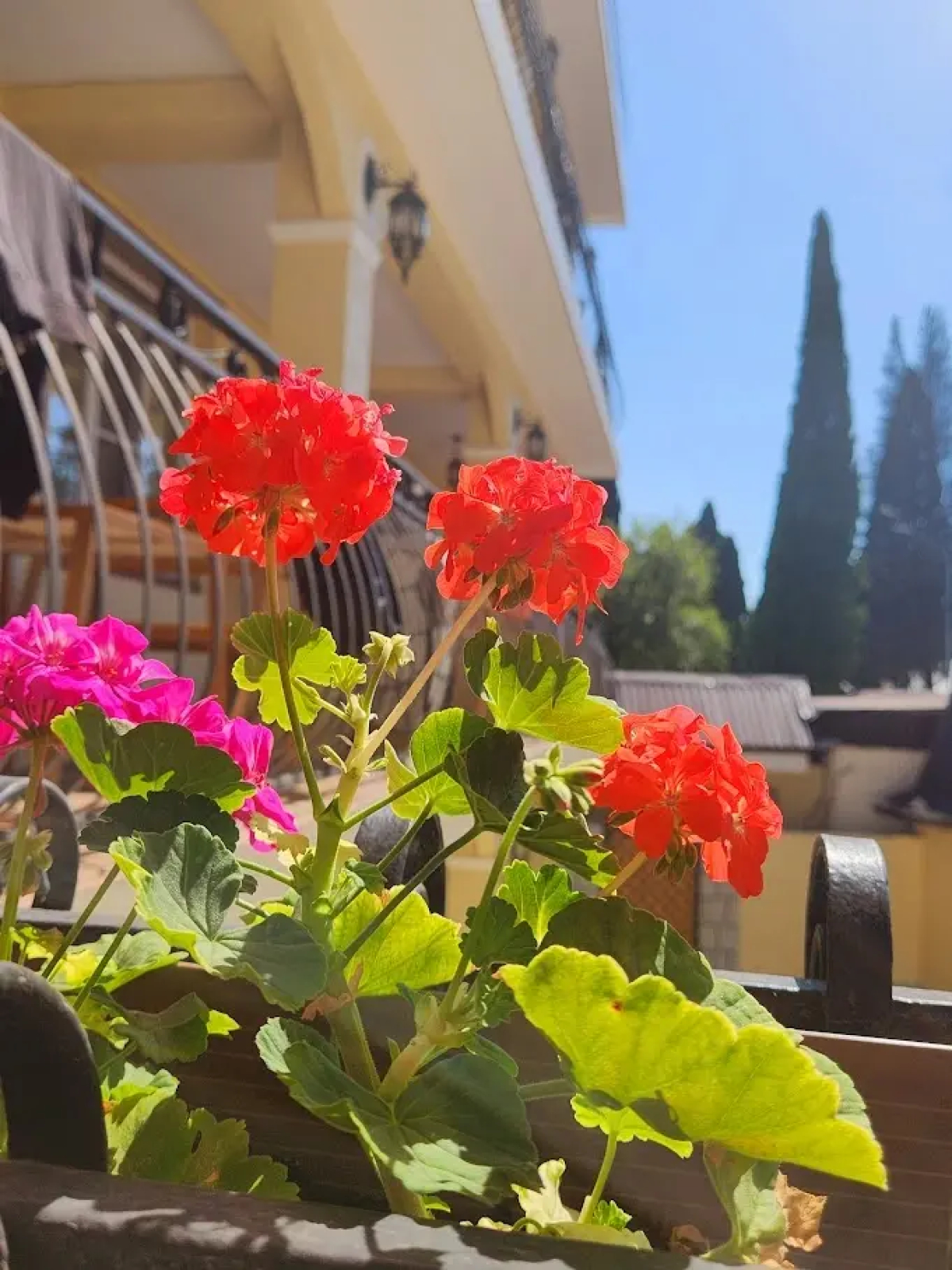 Отель Casa del sol