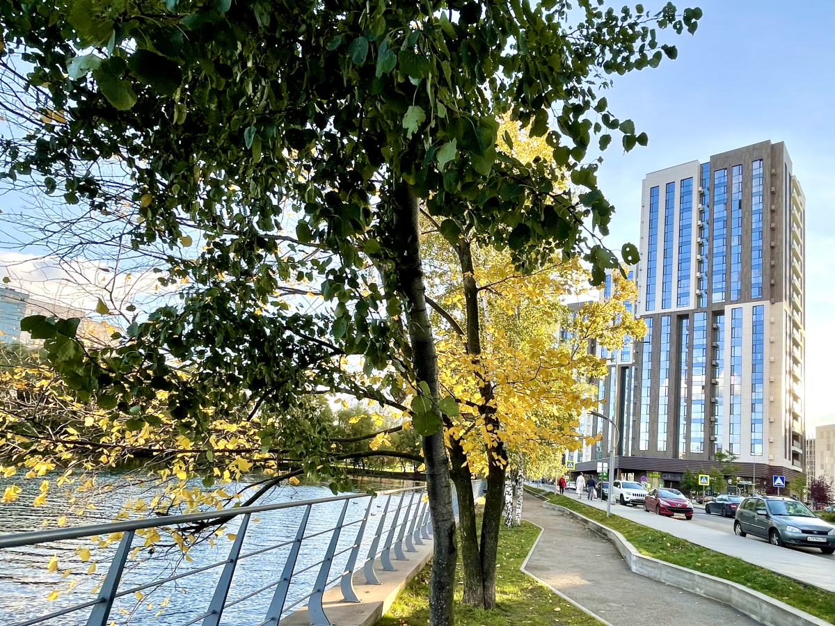 Апартаменты 3-я студия Ривер парк