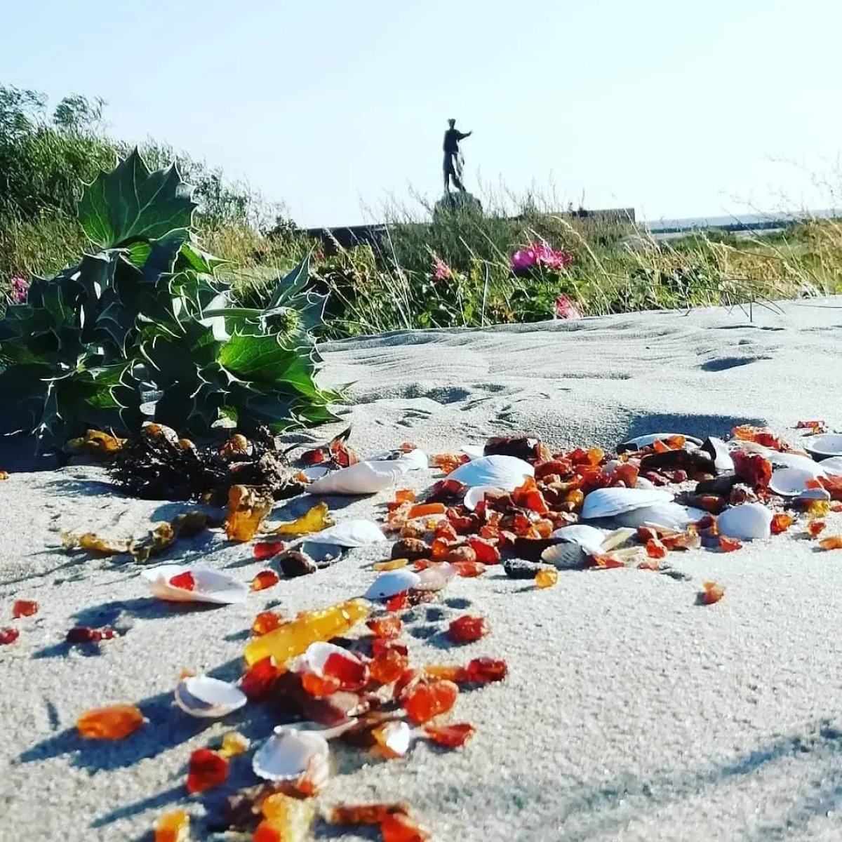 Апартаменты Янтарный с Видом на Море