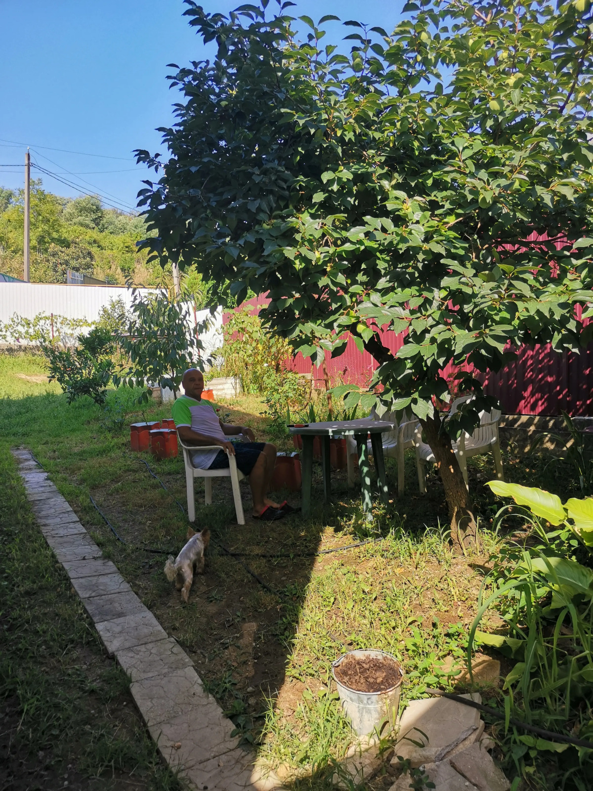 Гостевой Дом Тихий Уголок Адлера