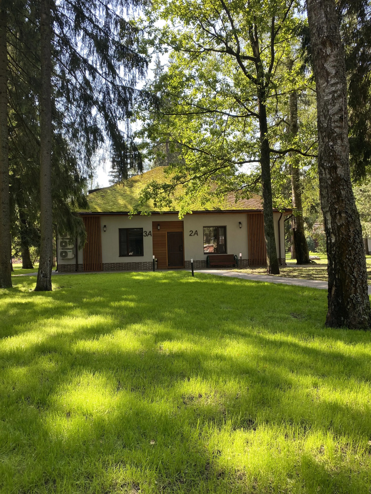 Отель Ruza Forest