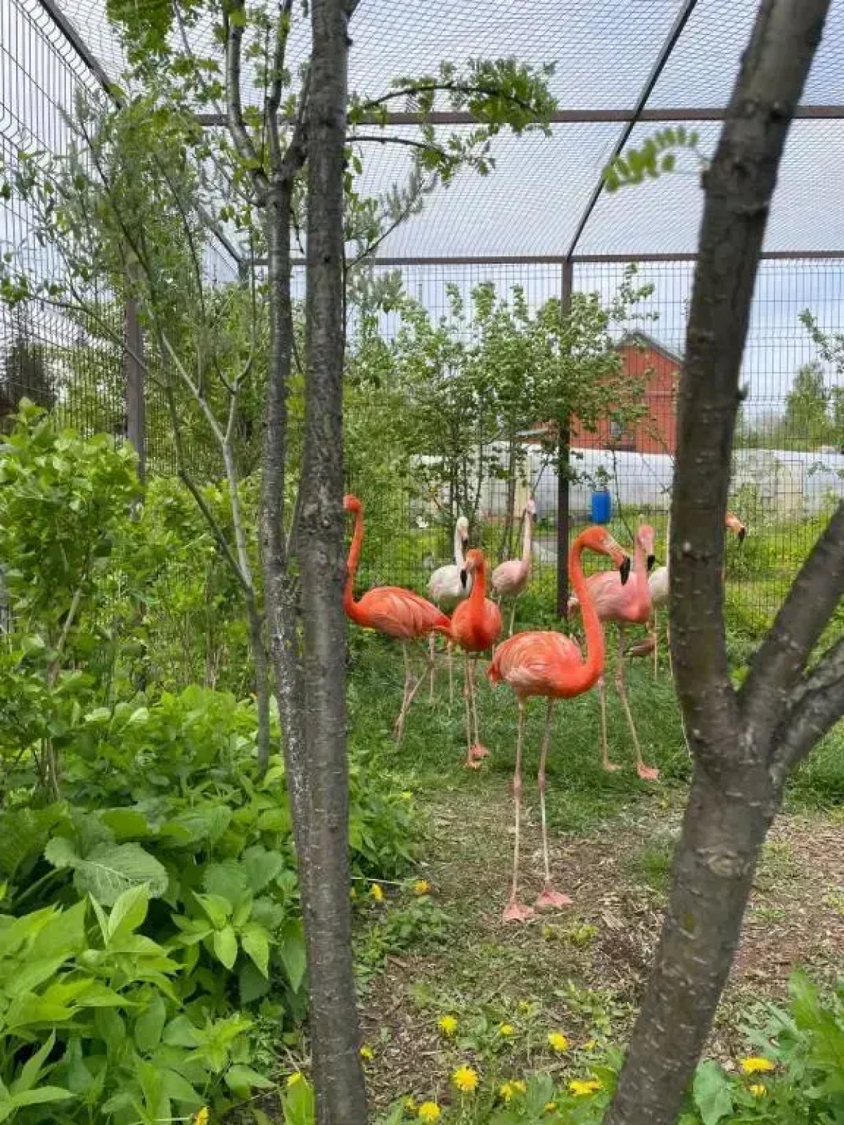 Квартира возле зоопарка 2