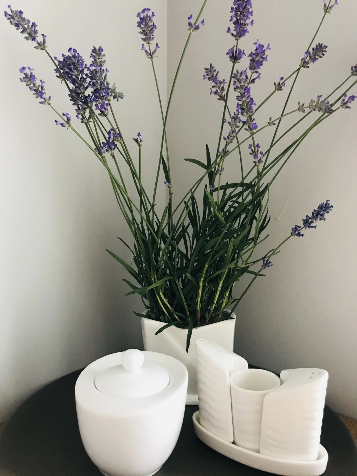 Апартаменты Зеленоградск