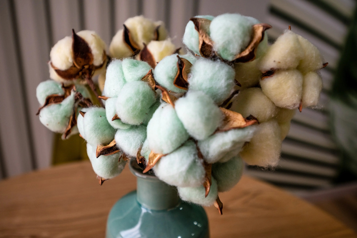 Апартаменты Студия 6 by Mangosteen Apartments