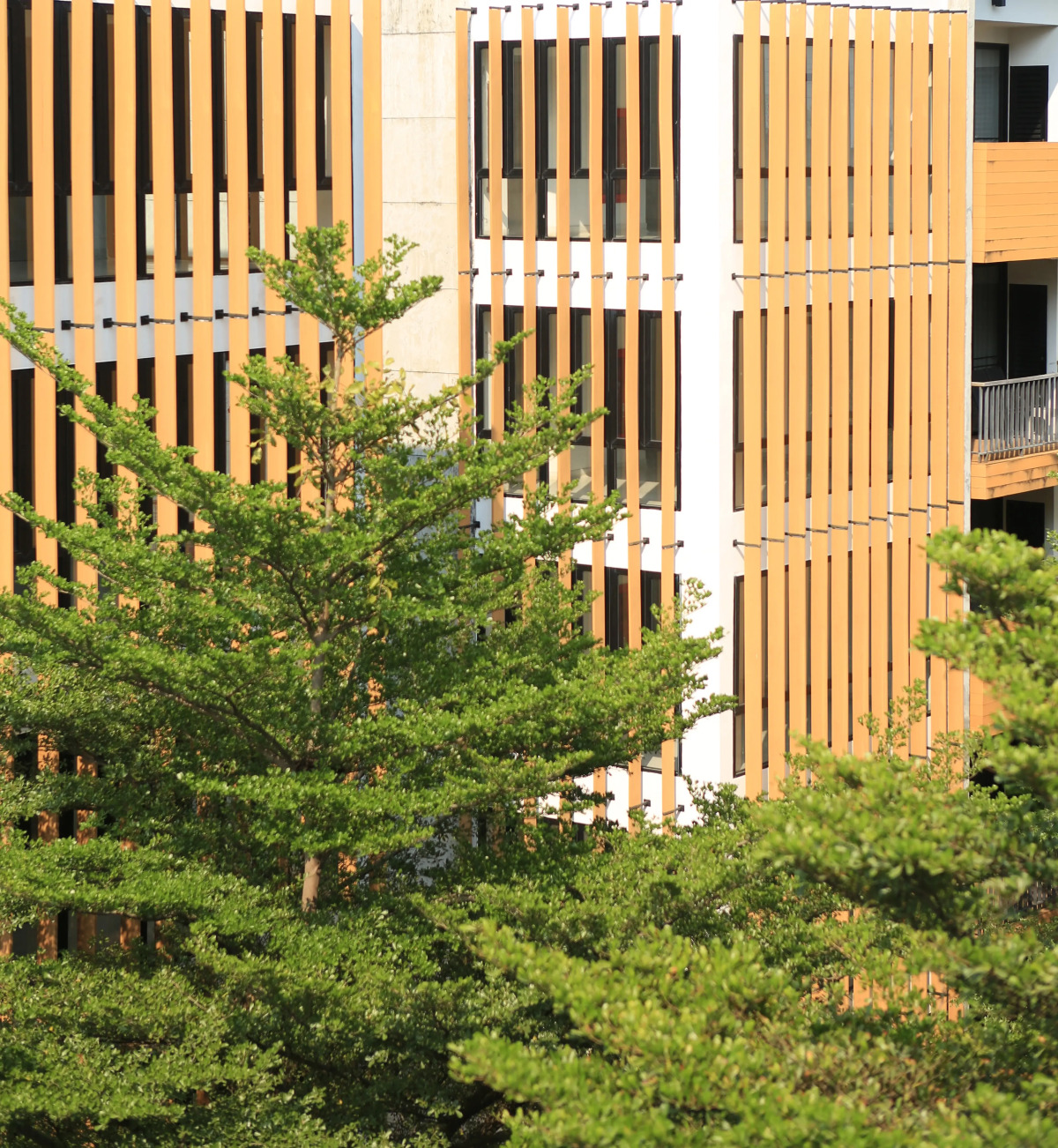 Отель The Silver Palm Wellness Resort