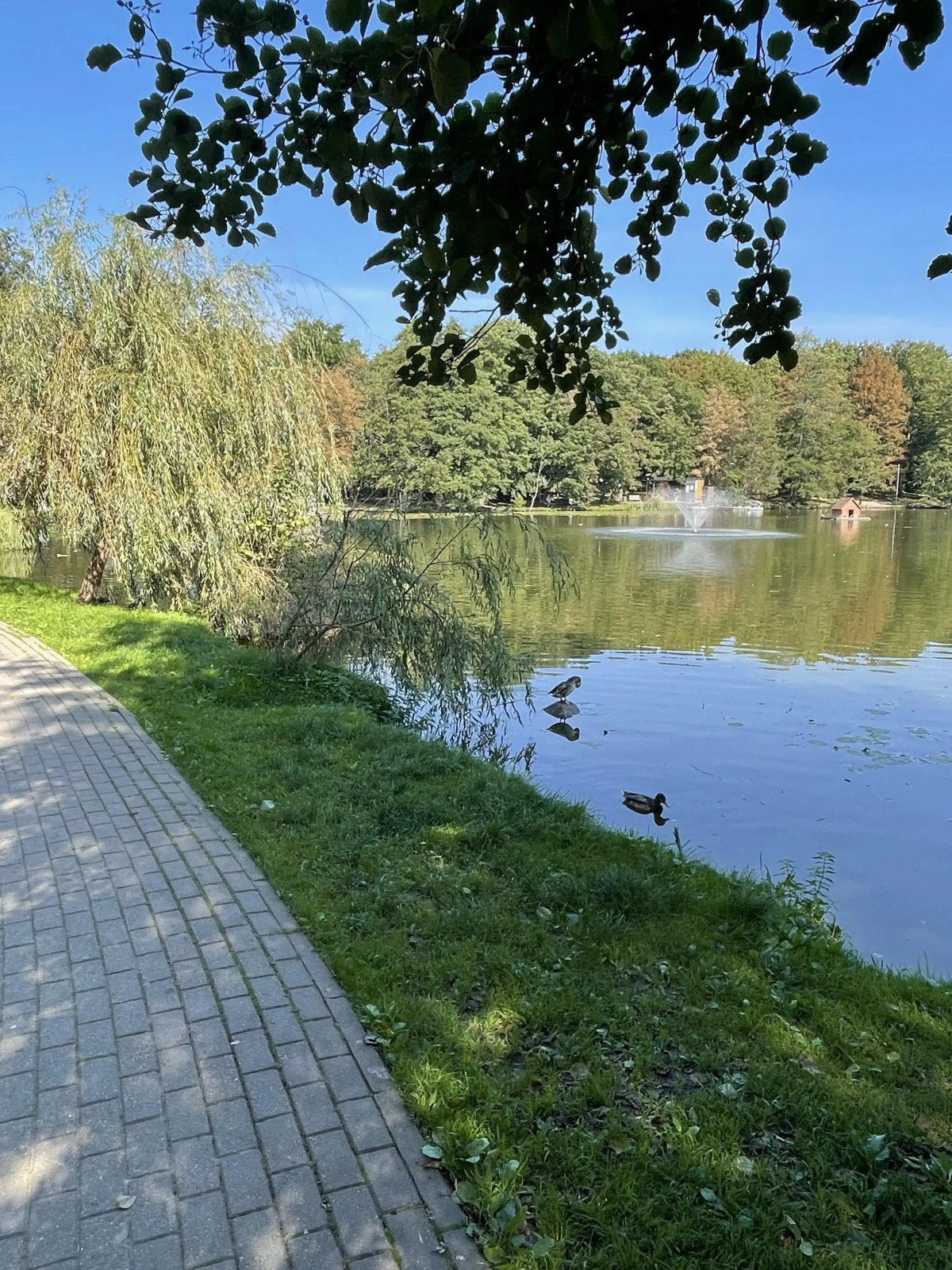 Квартира Квартира