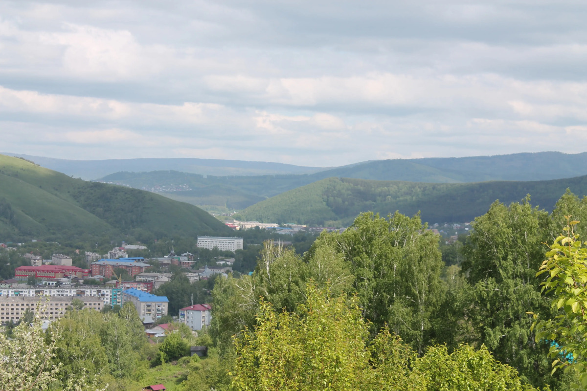 Отель Рыжий пёс