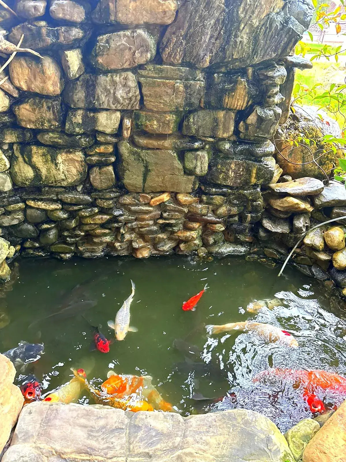 Гостевой Дом ART-HOTEL EVA